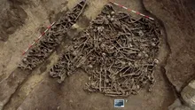 Un mormânt comun cu cel puțin 129 de bărbați a fost descoperit lângă Viena. Cine au fost victimele unei confruntări romane necunoscute?
