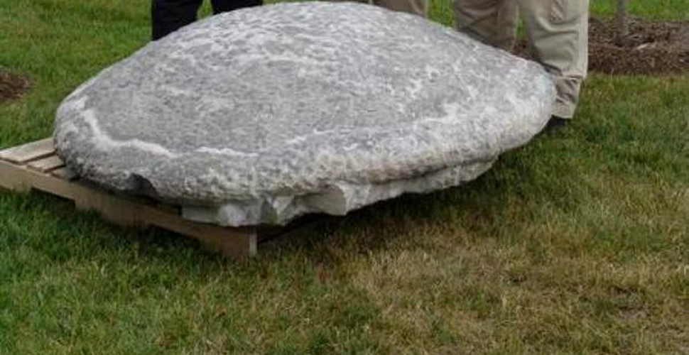 Cel mai bine conservat stromatolit a fost descoperit in Virginia