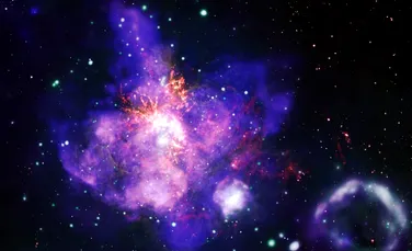 Telescoapele NASA au dezvăluit „un buchet de stele” de Ziua Îndrăgostiților