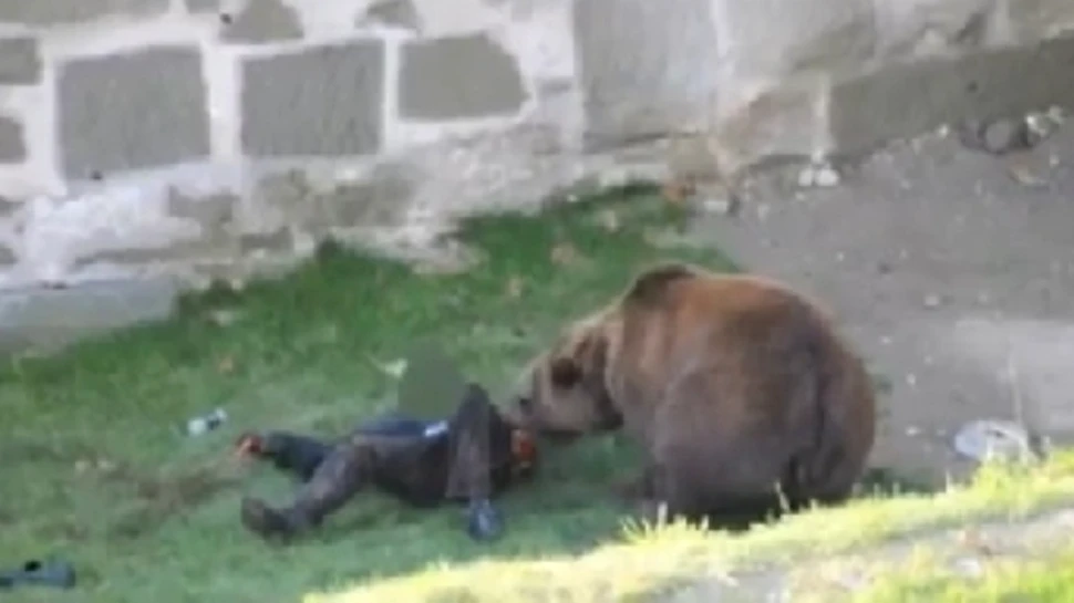 Un om este atacat de urs in fata camerei de filmat (VIDEO)