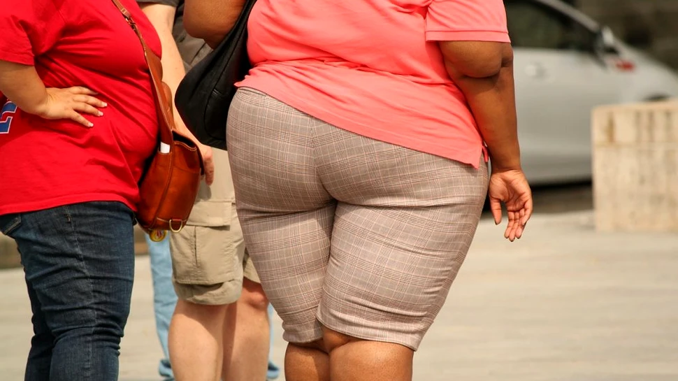 Cercetătorii au identificat un mecanism care permite celulelor imunitare să controleze obezitatea