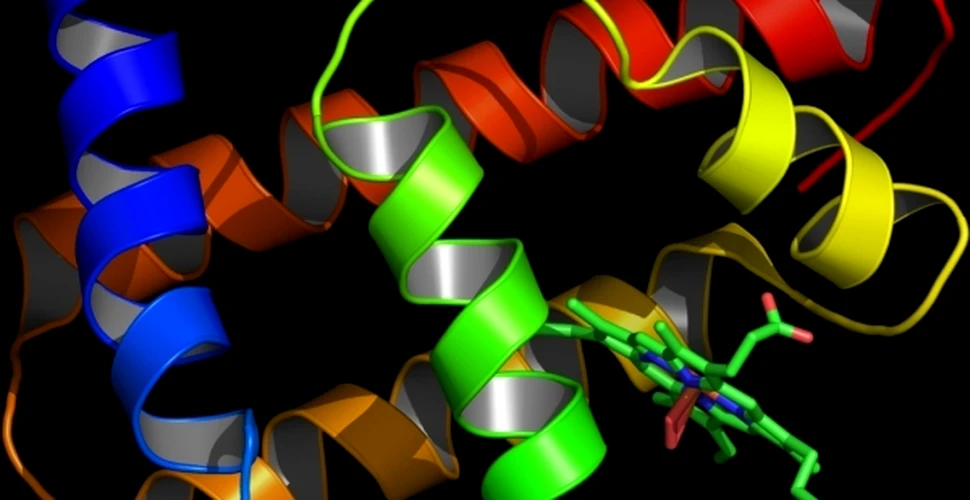 Viaţa complexă a apărut în urma unor mici erori în structura proteinelor