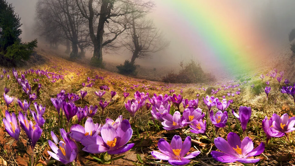 Meteorologii au anunțat cum va fi vremea în martie