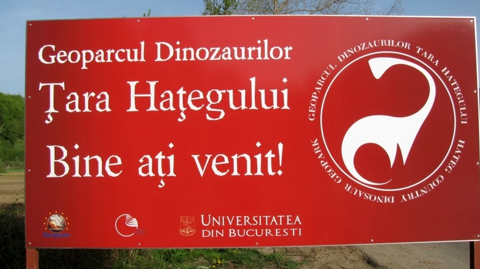 „Zalmoxes robustus” este expus în mărime naturală la Geoparcul Dinozaurilor din Haţeg