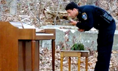 Misterul pianului din padure uimeste politia americana