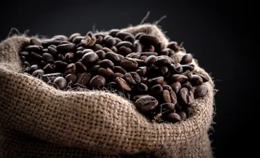 Tipuri de boabe cafea și cum să le alegi pe cele potrivite gusturilor tale