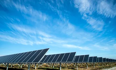 Cum poate o companie să își micșoreze amprenta asupra mediului (P)