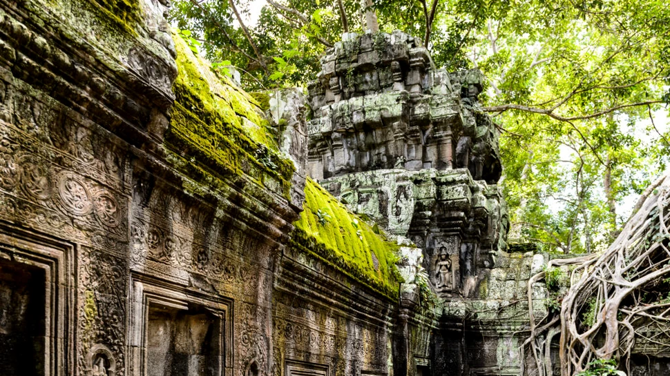 Temple budiste și peșteri ascunse, scoase la lumină în India