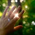 Descoperire surprinzătoare: Organismele vii emit lumină până când mor