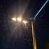 Test de cultură generală. De ce lumina atrage insectele noaptea?