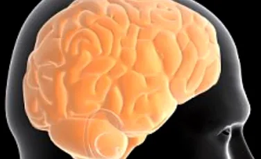 Creierul artificial  ar putea deveni real in urmatorii 10 ani