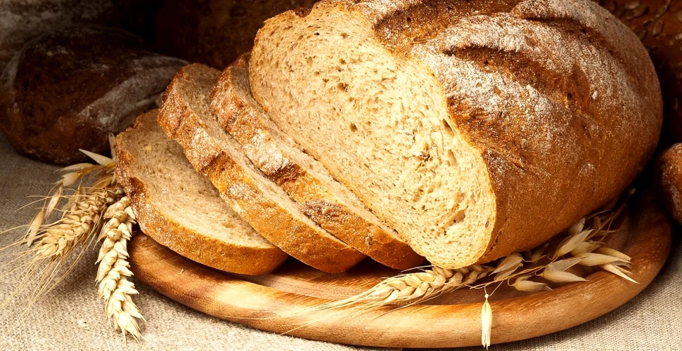 Arheologii au descoperit pâine mai veche cu 4.000 de ani decât începutul agriculturii