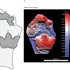 Primele urme de anchilozaur cu trei degete demonstrează că specia a trăit în America de Nord acum 100 de milioane de ani