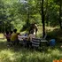 Petrecăreții de 1 mai au distrus aproape jumătate dintre arborii plantați într-o zonă din Oradea