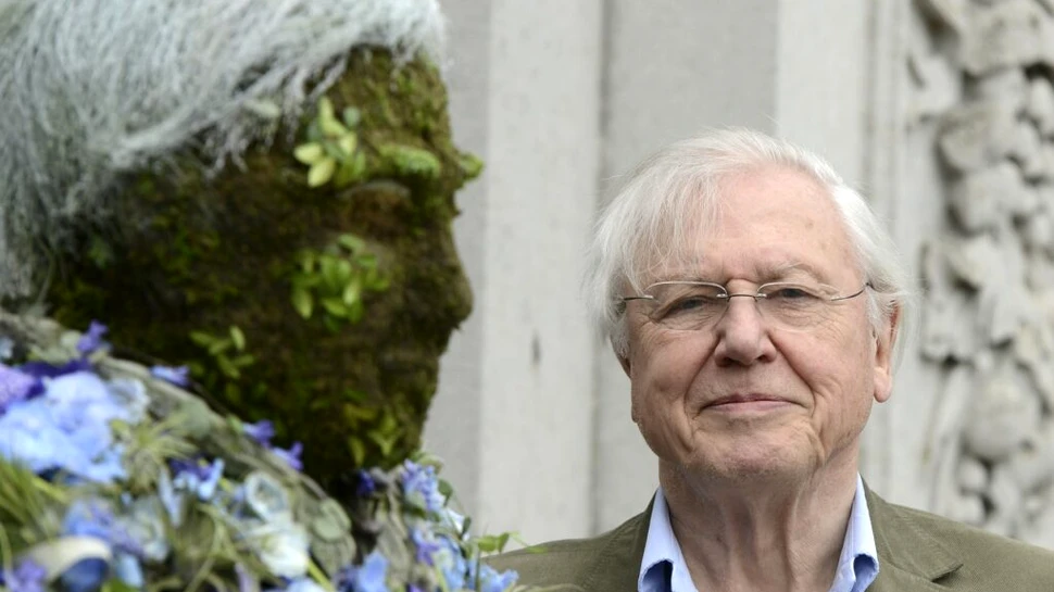David Attenborough, „profund deranjat” după ce Inteligența Artificială i-a furat vocea