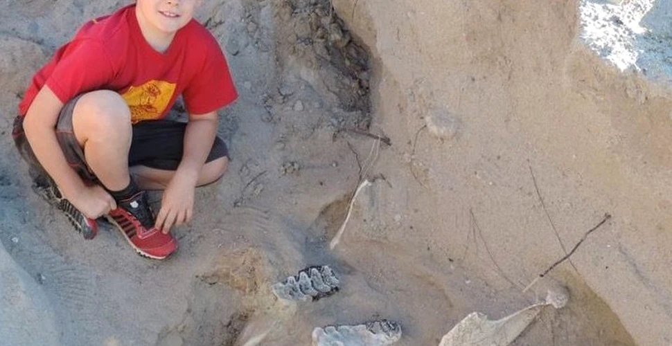 Un băiat a făcut o descoperire REMARCABILĂ în New Mexico. Are o vechime de peste 1 milion de ani