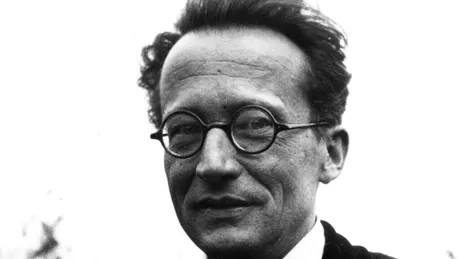 O teorie faimoasă a lui Erwin Schrödinger, finalizată după mai bine de 100 de ani