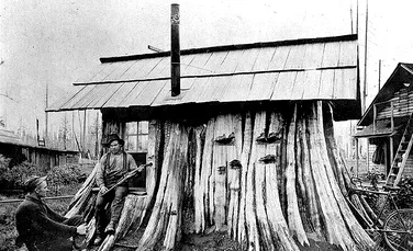 Cum au reuşit coloniştii din zona Pacificului de Nord-Vest să-şi construiască casă în buştenii abandonaţi de companiile forestiere-Galerie Foto