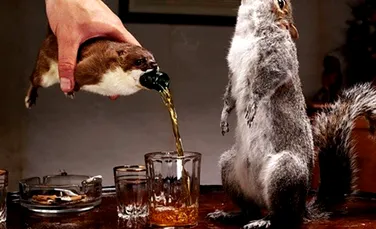 Una dintre cele mai scumpe beri din lume este servită într-o veveriţă moartă