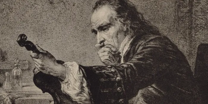 Ce au descoperit cercetătorii despre lemnul viorilor lui Stradivari