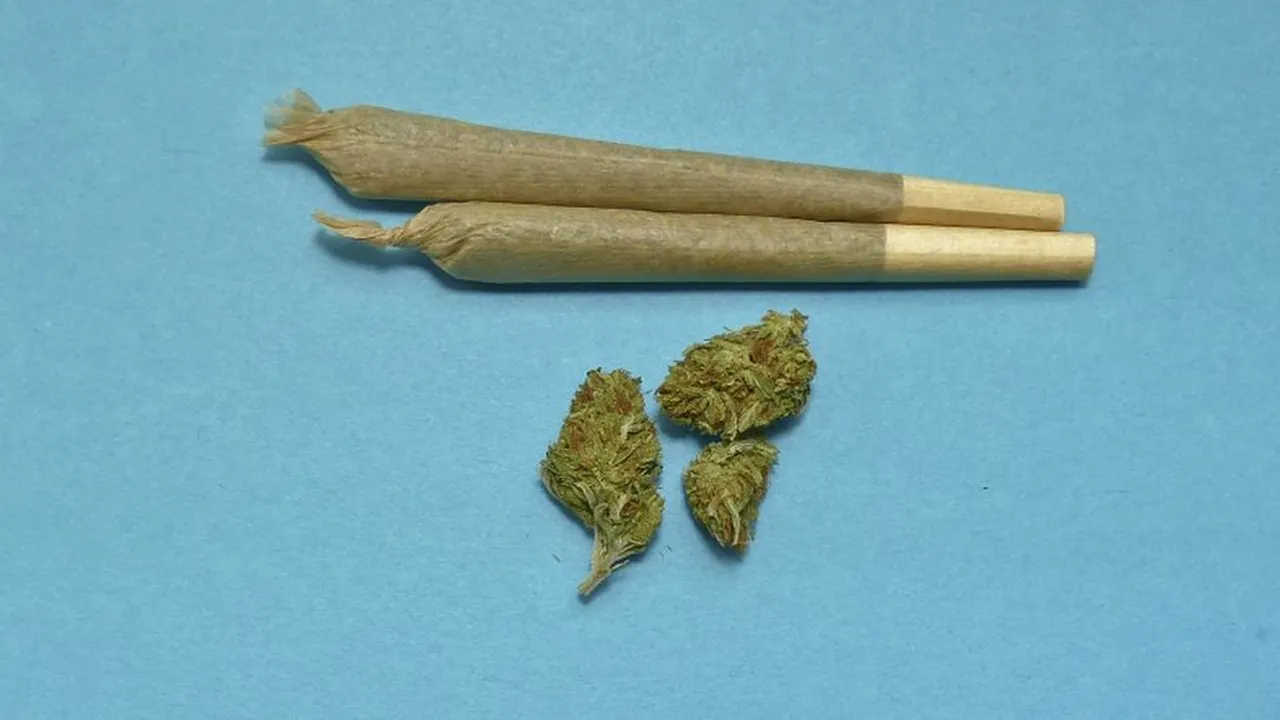 2-marijuana-pixabay-descopera 