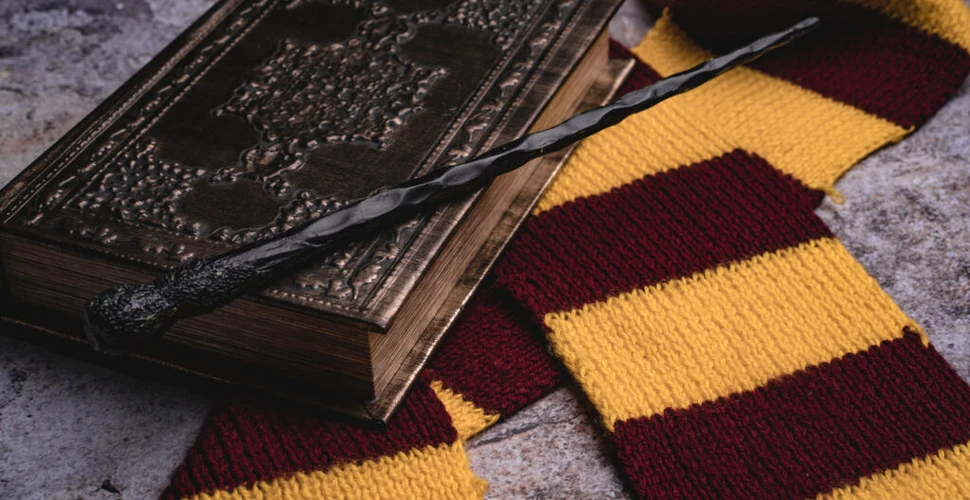 O carte rară din prima ediție a lui Harry Potter, scoasă la vânzare. Care este prețul de pornire?