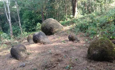 Borcane uriașe din piatră, descoperite de cercetători în India. Ce spun legendele despre misterioasele structuri?