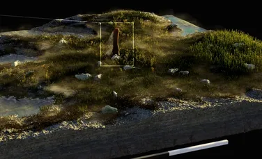 Oamenii de știință ar fi descoperit o formă de viață necunoscută