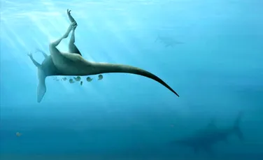 O nouă specie de dinozaur, înrudită cu T. Rex, descoperită datorită vânătorilor de fosile