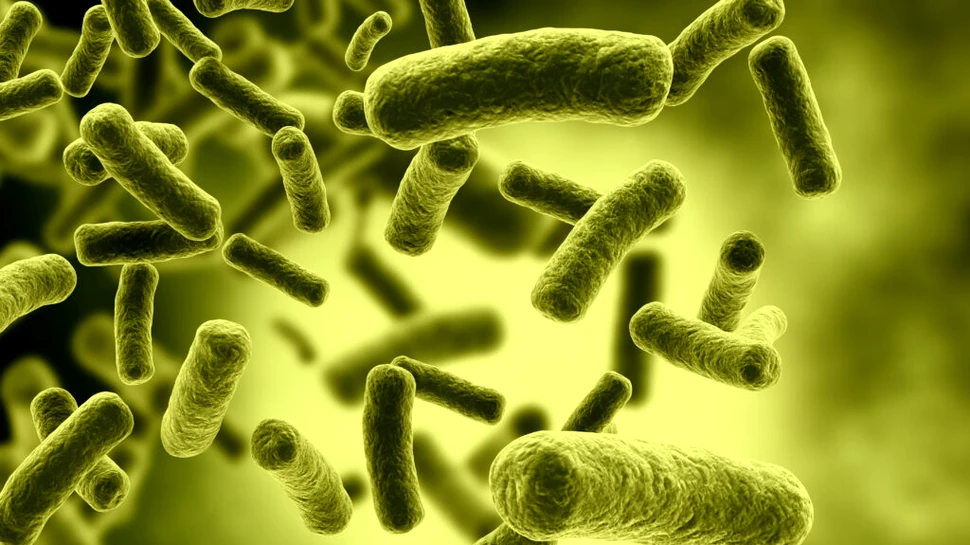 Un antibiotic vechi de câteva decenii ar putea fi un ucigaș feroce al bacteriilor