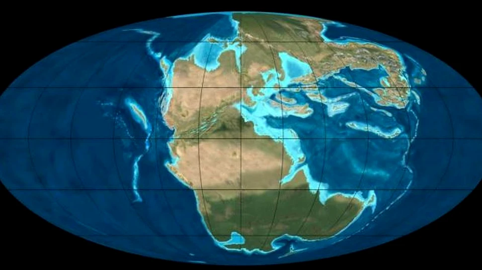 Descoperirea unui craniu fosilizat poate oferi noi informaţii despre primele mamifere şi divizarea supercontinentului Pangaea