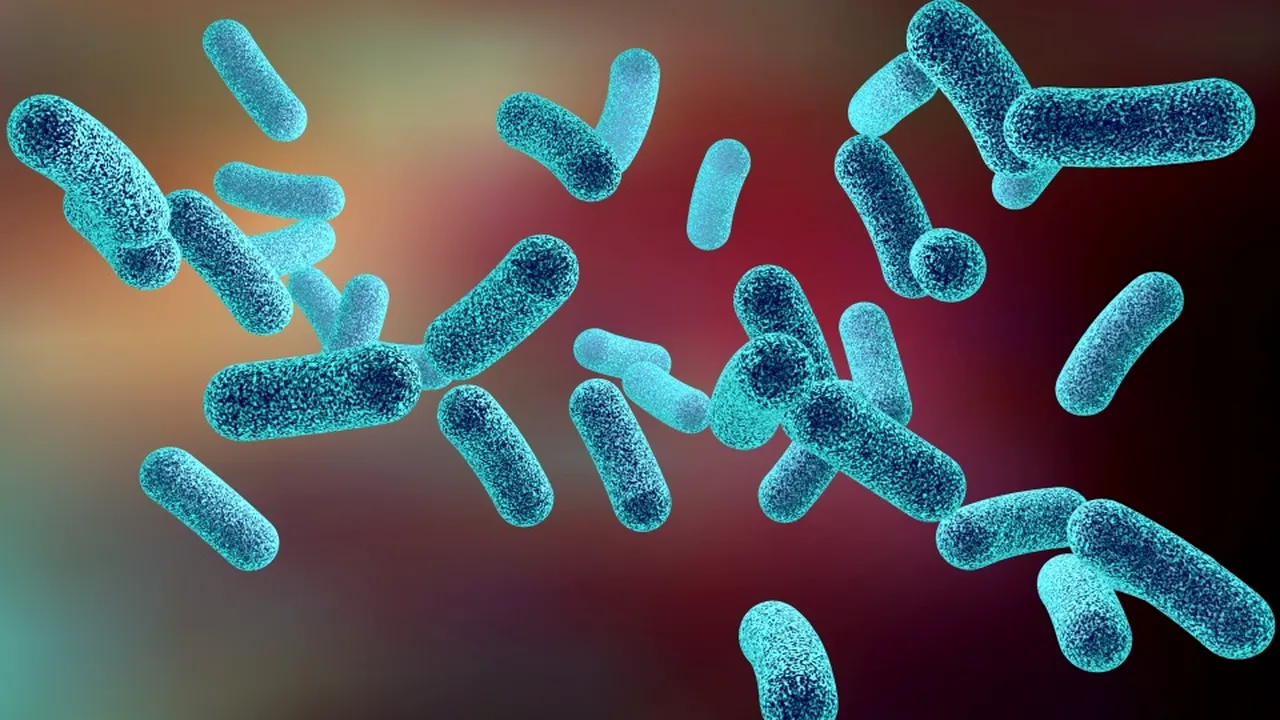 1-bacterie-123rf 