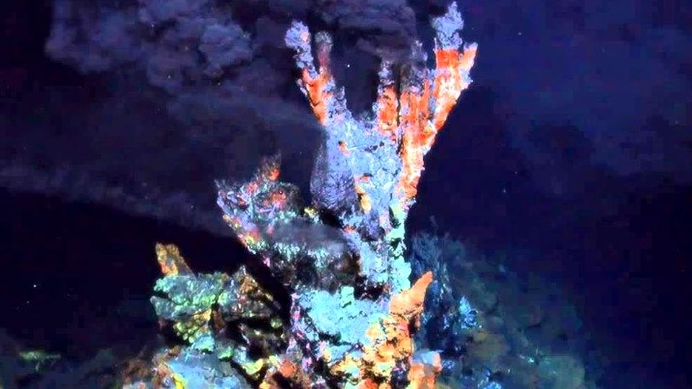 Cercetătorii au descoperit strămoşul tuturor vietăţilor de pe Terra