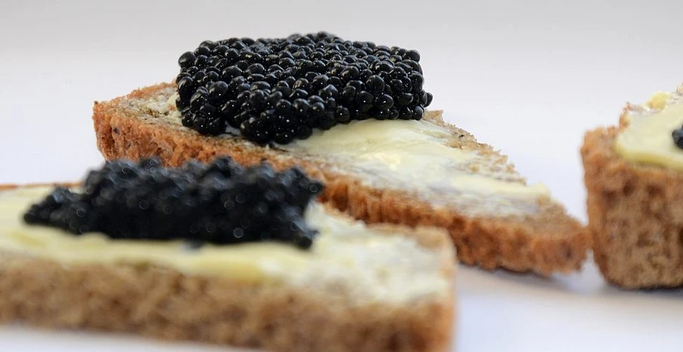 Statele Unite au interzis importurile de vodcă și caviar din Rusia