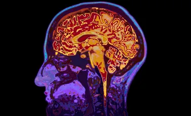 Medicii din China au extras o tenie din creierul unui bărbat