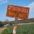 Peste o mie de oameni au murit din cauza focarului de Ebola din Republica Democrată Congo și Uganda