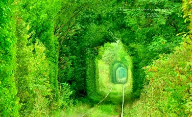 Tunelul Iubirii, locul din România căutat pentru cele mai romantice fotografii. Este UNIC – GALERIE FOTO
