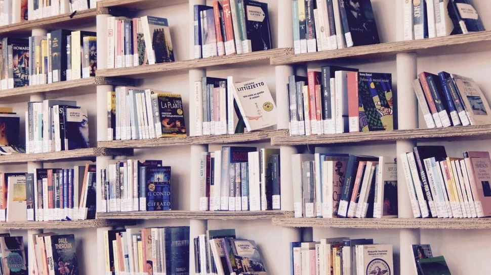 „Biblioteca pe roți”, un proiect din trenurile Intercity