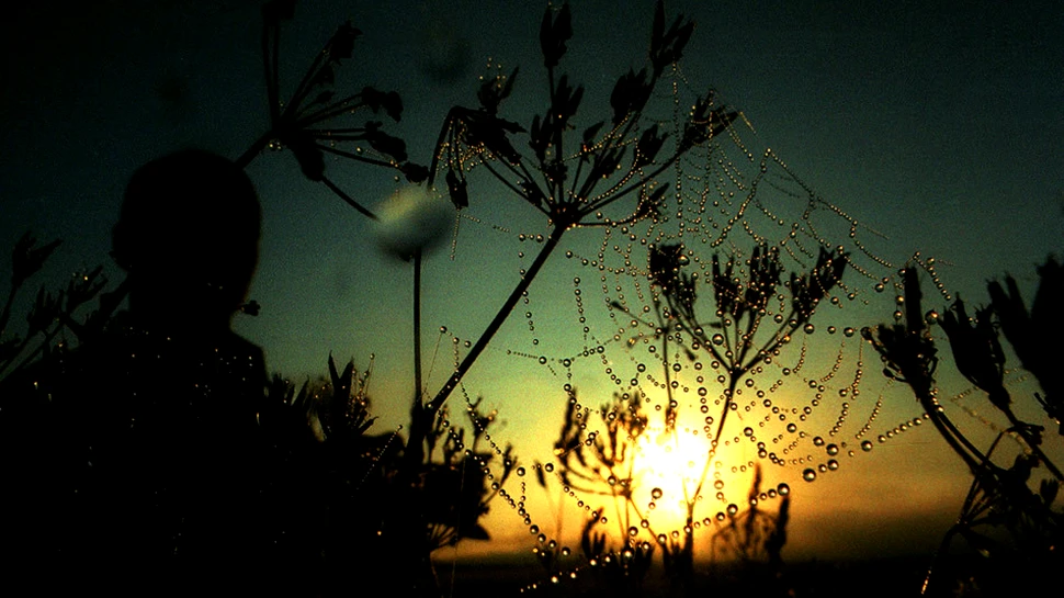 Fotografia zilei – Ziua Mondială a Apei 2014