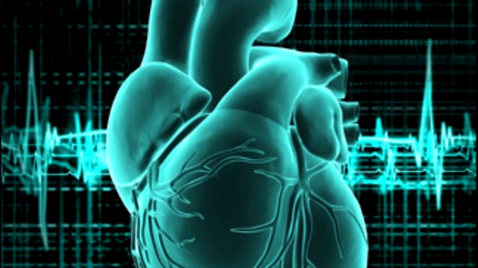 Imprimantele viitorului vor fabrica organe umane