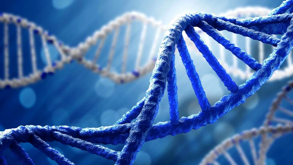 Savanţii au găsit dovezi genetice care ilustrează evoluţia în timp real a oamenilor