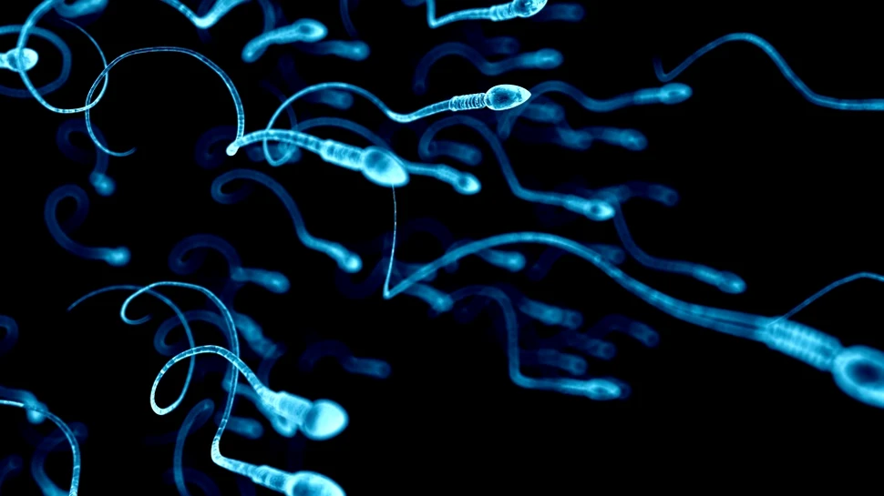 Noi roboţi inspiraţi din spermatozoizi pot înota în organism pentru a administra medicamente