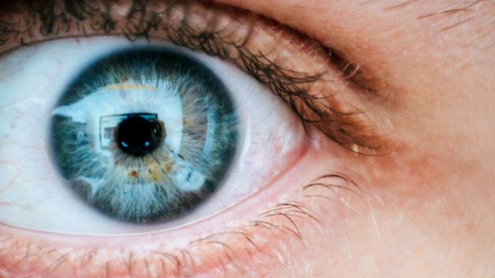 Neurocercetătorii au găsit noi factori pentru o vedere bună
