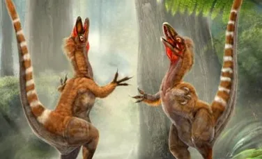 Roscat, cu dungi albe: paleontologii au aflat ce culoare avea un dinozaur