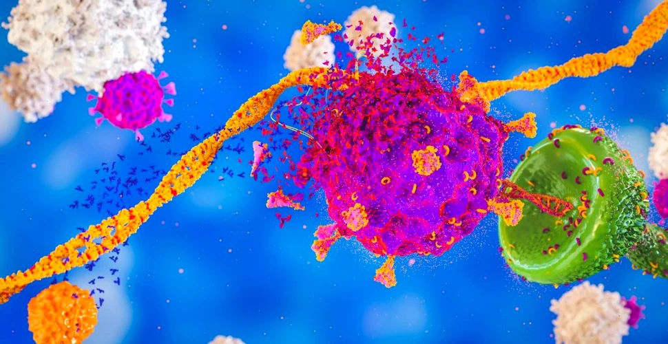 Cercetători din Marea Britanie au identificat ținte pentru celulele T, cu rol în apariția unor noi vaccinuri împotriva COVID-19