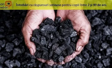 Cum se formează cărbunele?