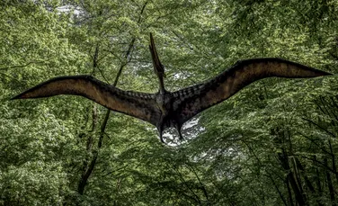 O razie a poliției din Brazilia a scos la iveală cea mai detaliată fosilă de pterozaur din lume