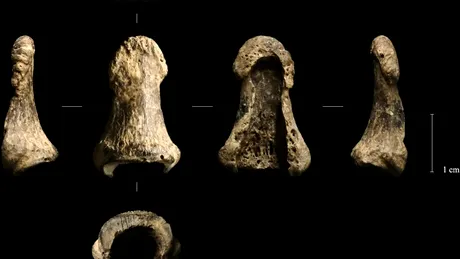 Un bumerang din colți de mamut, vechi de 40.000 de ani, este cel mai vechi din Europa și posibil din lume