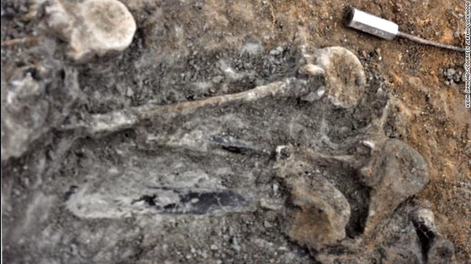 O nouă specie de dinozaur a fost descoperită