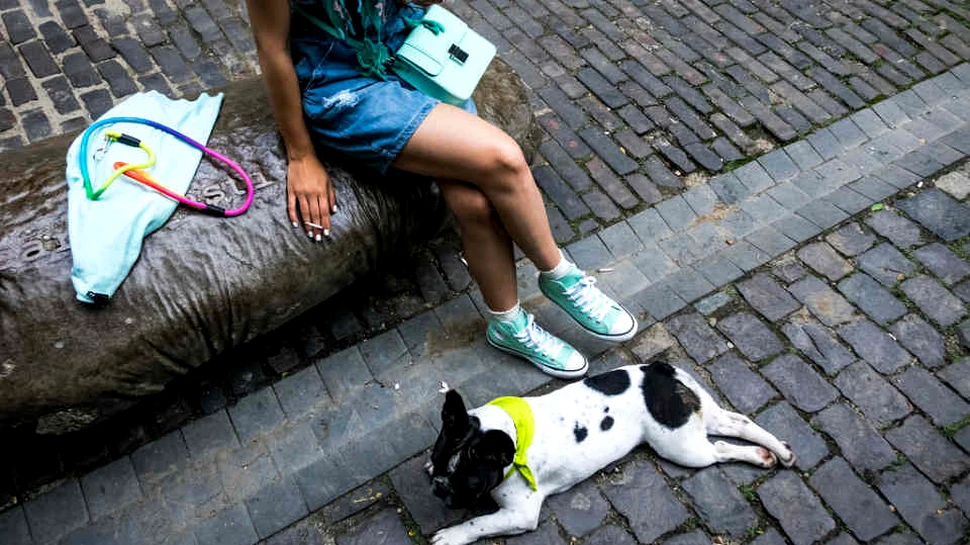 Ce poţi vedea în weekend, unde te poţi culturaliza, dar şi distra